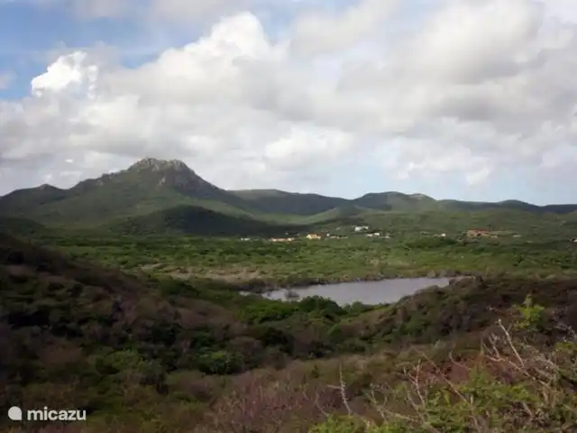 Villapark Fontein A27 huren in Curaçao, Banda Abou (west), Fontein - vakantiehuis Natuur in het Christoffelpark met in de achtergrond de Christoffelberg.