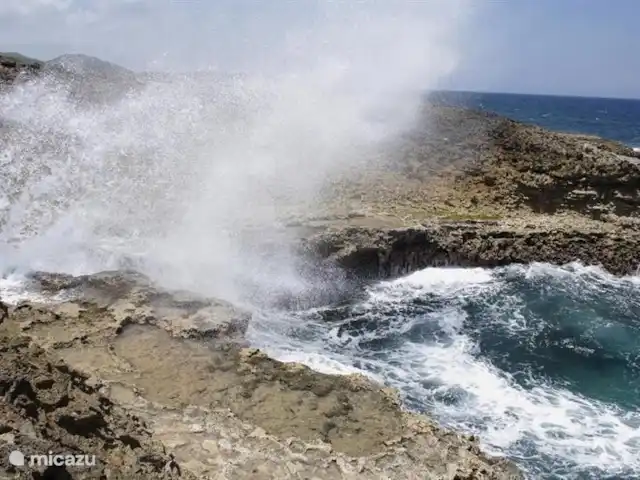 Villapark Fontein A27 huren in Curaçao, Banda Abou (west), Fontein - vakantiehuis Shete Boka National Park.