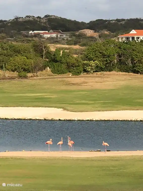 villa, Jandoret, Curacao-Middle, Curaçao - ADVERTISEMENT IS UNDER CONSTRUCTION