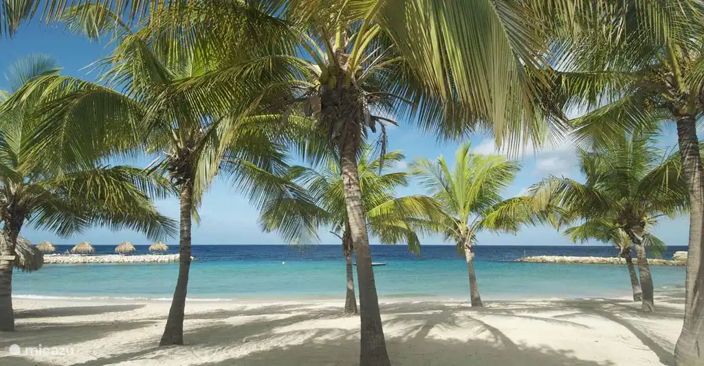 Blue Bay Beach, one of the most beautiful beaches of Curacao. Only 100 m from Villa 13.
