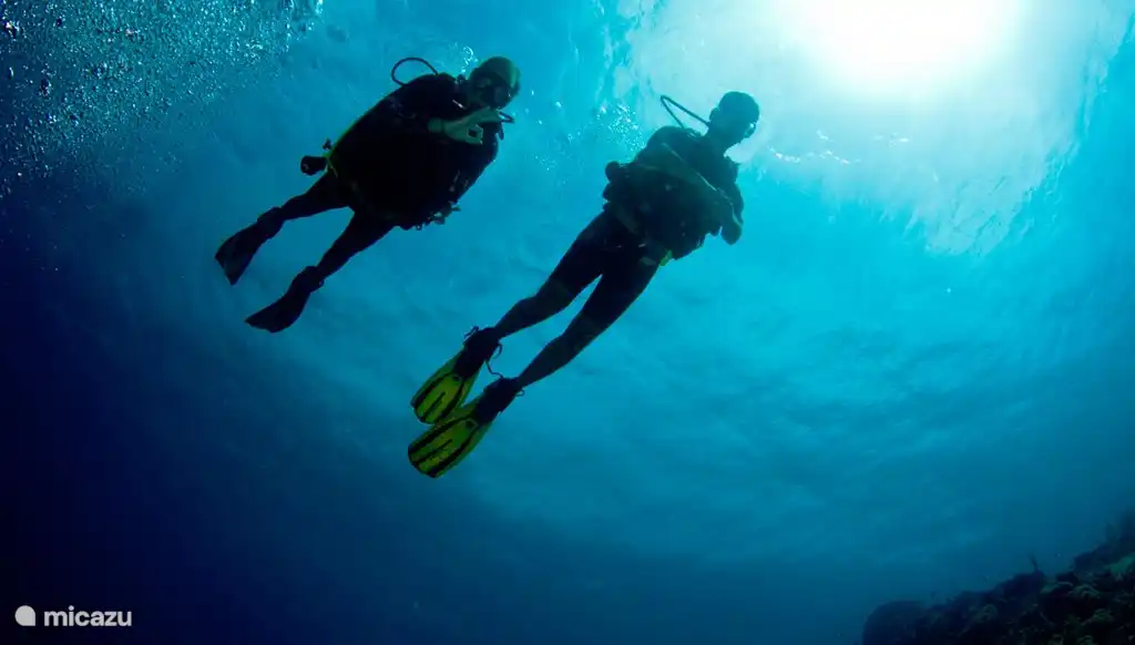 Curacao is a diving paradise with one of the most beautiful dive sites at Blue Bay Beach.