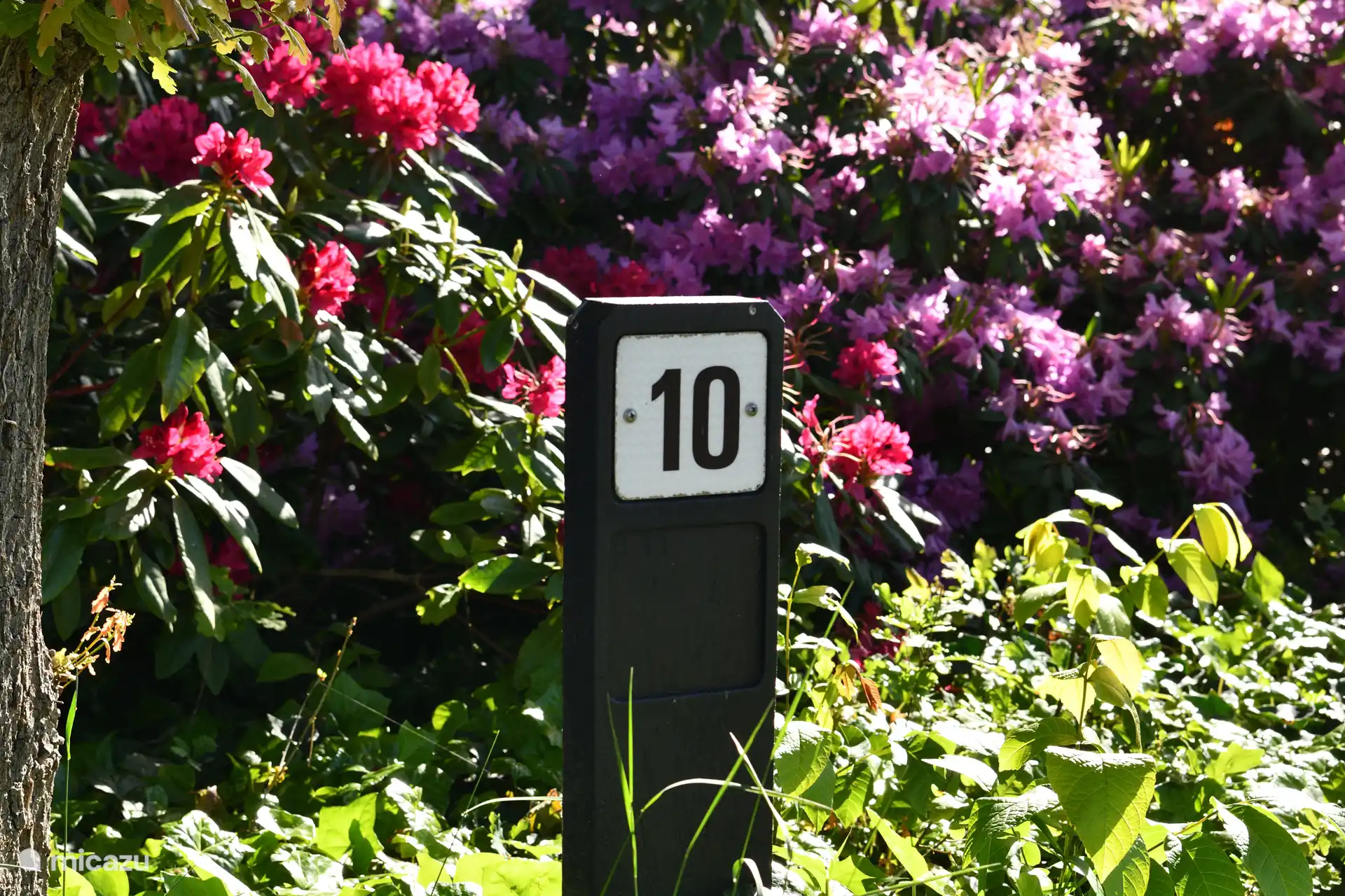 Huisje in Twente staat aan de Wierdenseweg  10 in Enter