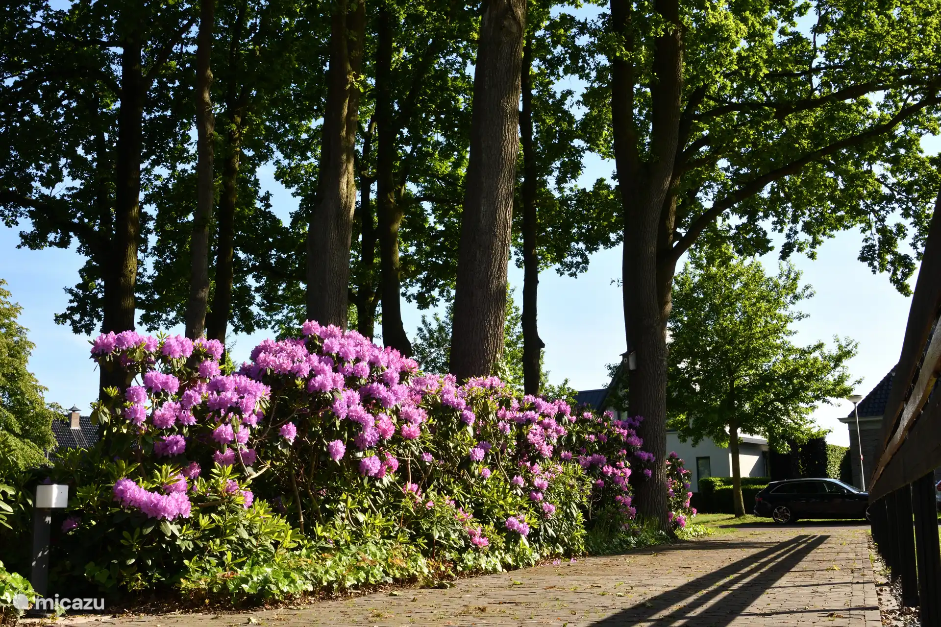 In de maand mei staan de vele Rhodondenderons aan de voorzijde volop in bloei