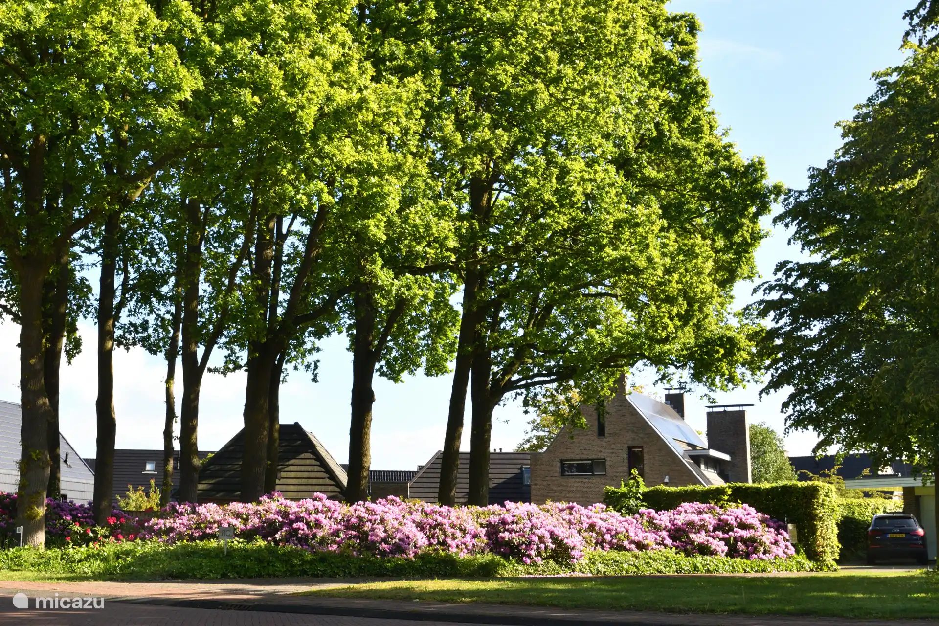 De entree van huisje in Twente, met de imposante Eiken en Rhodondenderons