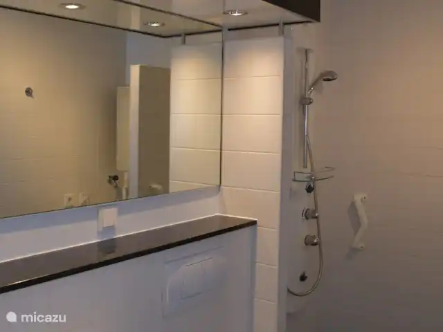 vakantiehuis huren in Nederland, Overijssel, Enter – Huisje in Twente Badkamer met wastafel, toilet, douche en wasmachine