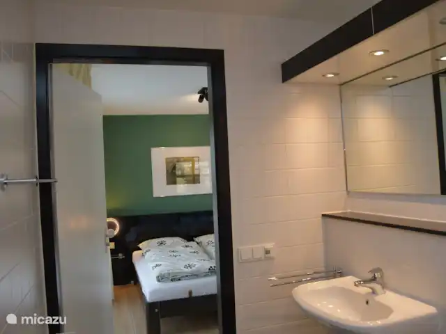 vakantiehuis huren in Nederland, Overijssel, Enter – Huisje in Twente Badkamer met wastafel, toilet, douche en wasmachine