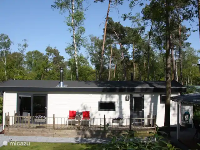 Bungalow en bordure de forêt 8 avec 2 vélos électriques | Pays-Bas, Gueldre, Hoenderloo - bungalow Bungalow en bordure de forêt 8 avec 2 vélos électriques | Pays-Bas, Gueldre, Hoenderloo - bungalow