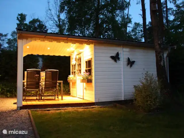 Bungalow en bordure de forêt 8 avec 2 vélos électriques | Pays-Bas, Gueldre, Hoenderloo - bungalow Profitez d'un bon moment à Bosbungalow 8.