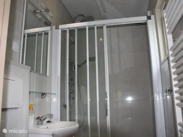 Bungalow en bordure de forêt 8 avec 2 vélos électriques | Pays-Bas, Gueldre, Hoenderloo - bungalow La salle de bain a un radiateur design, des toilettes, un lavabo et une magnifique douche à effet pluie.