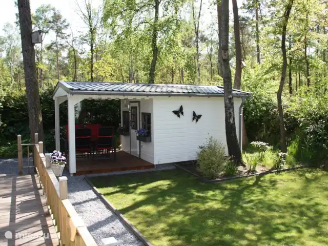 Bungalow en bordure de forêt 8 avec 2 vélos électriques | Pays-Bas, Gueldre, Hoenderloo - bungalow Jardin entièrement privé avec abri de jardin avec zone couverte.