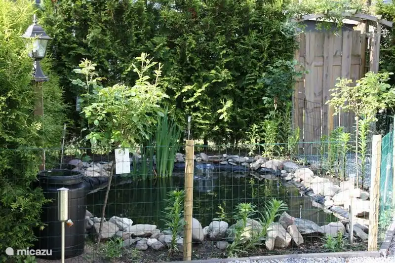 eingezäunten Teich mit Fischen und Fröschen