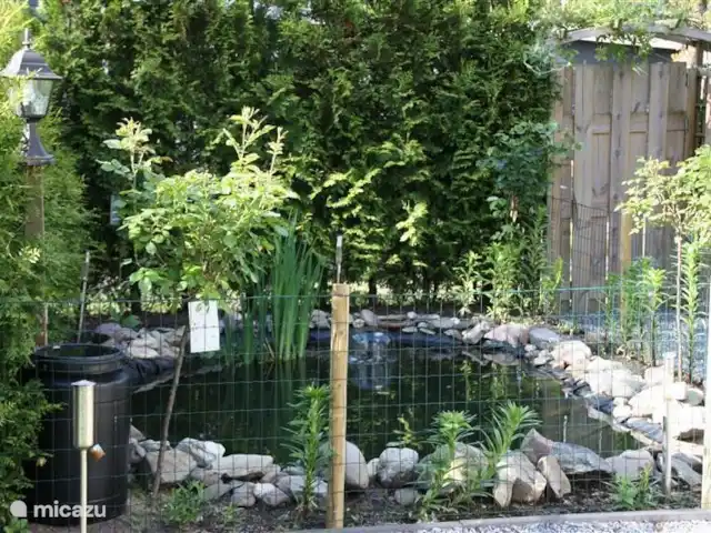 Bungalow en bordure de forêt 8 avec 2 vélos électriques | Pays-Bas, Gueldre, Hoenderloo - bungalow Etang clôturé avec poissons et grenouilles.