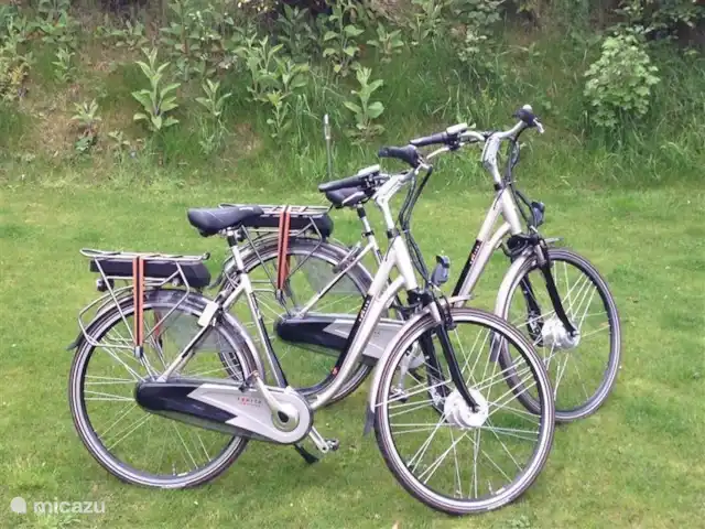 Bungalow en bordure de forêt 8 avec 2 vélos électriques | Pays-Bas, Gueldre, Hoenderloo - bungalow Des vélos électriques sont prêts pour vous.