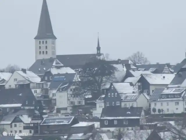 vakantiehuis huren in Duitsland, Sauerland, Warstein – Stadtgraben24 Hirschberg in de sneeuw, ons huis staat in het midden van de foto, links van de boom