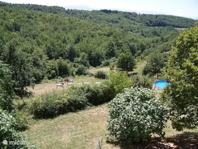 Domaine La Flotte - Syrah en Francia, Aude, Sonnac-sur-l'Hers - casa vacacional Vista desde un dormitorio sobre los jardines