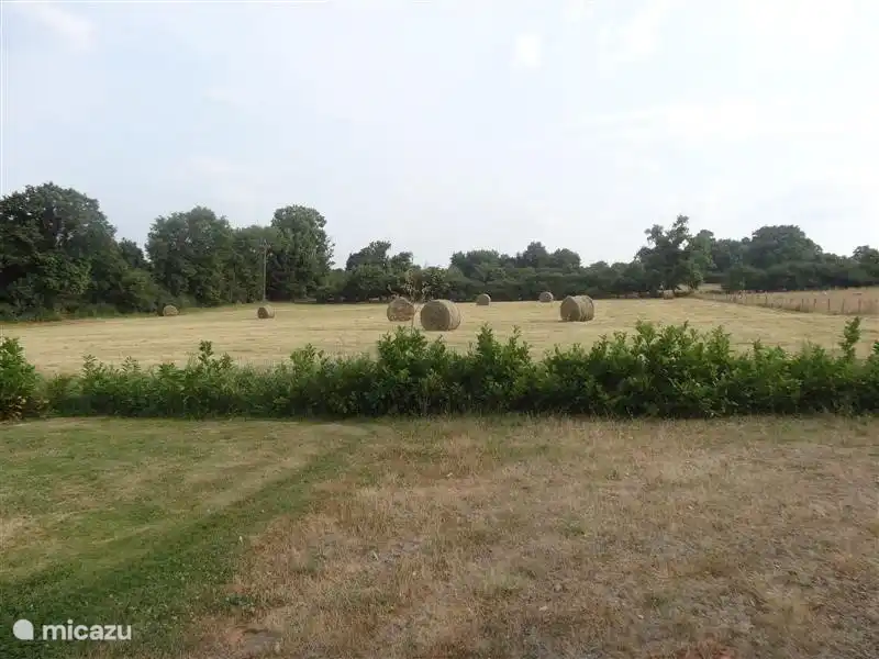 Blick über die Felder