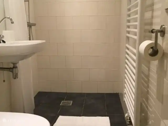 Appartement 'Tuinhuis' huren in Nederland, Drenthe, Diever - appartement de badkamer
