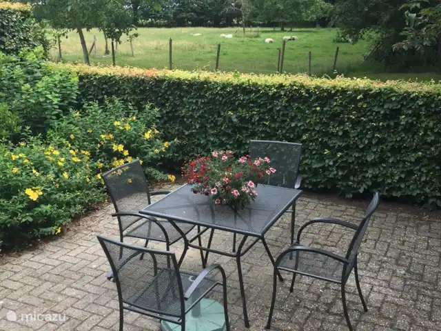 Appartement 'Tuinhuis' huren in Nederland, Drenthe, Diever - appartement Terras met zitje en uitzicht op weiland en bosrand