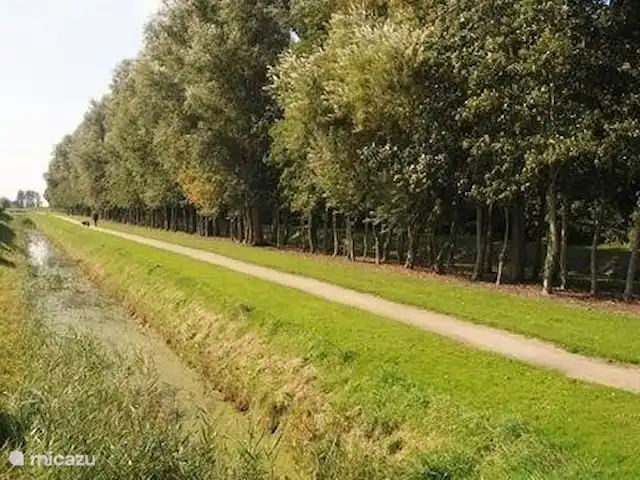 Bargereed 88 Tzummarum | Pays-Bas, Frise, Tzummarum - maison de vacances Sentier pédestre à la maison