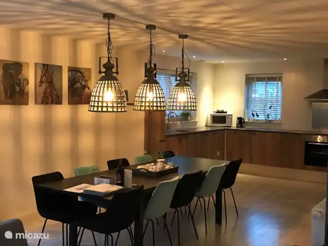 Bargereed 88 Tzummarum | Pays-Bas, Frise, Tzummarum - maison de vacances cuisine avec coin repas