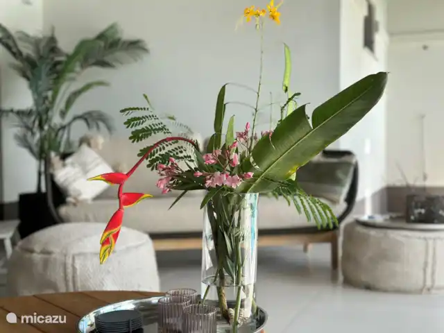 Villa la Brise | Bonaire, Bonaire, Santa Barbara - villa Créer une atmosphère est facile avec les belles fleurs du jardin