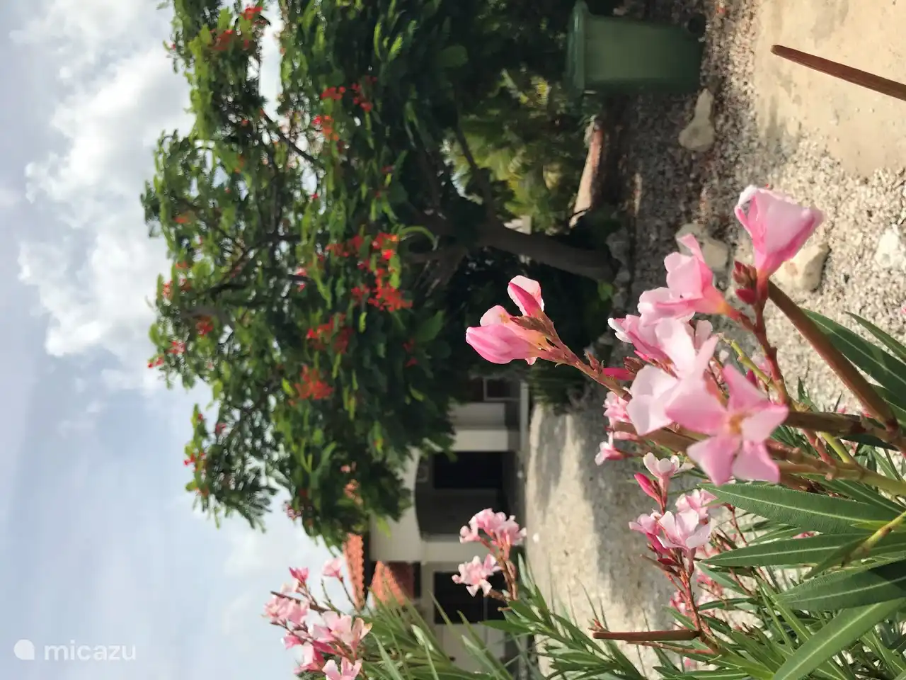 Patio delantero verde fresco y con un olor maravilloso. Bienvenido @la brisa.