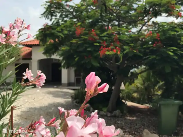 Villa la Brise | Bonaire, Bonaire, Santa Barbara - villa Cour avant verte fraîche et merveilleusement odorante. Bienvenue @the Breeze.