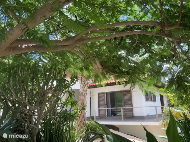 Villa la Brise | Bonaire, Bonaire, Santa Barbara - villa Vue d'ensemble avant jardin Villa @ la brise.