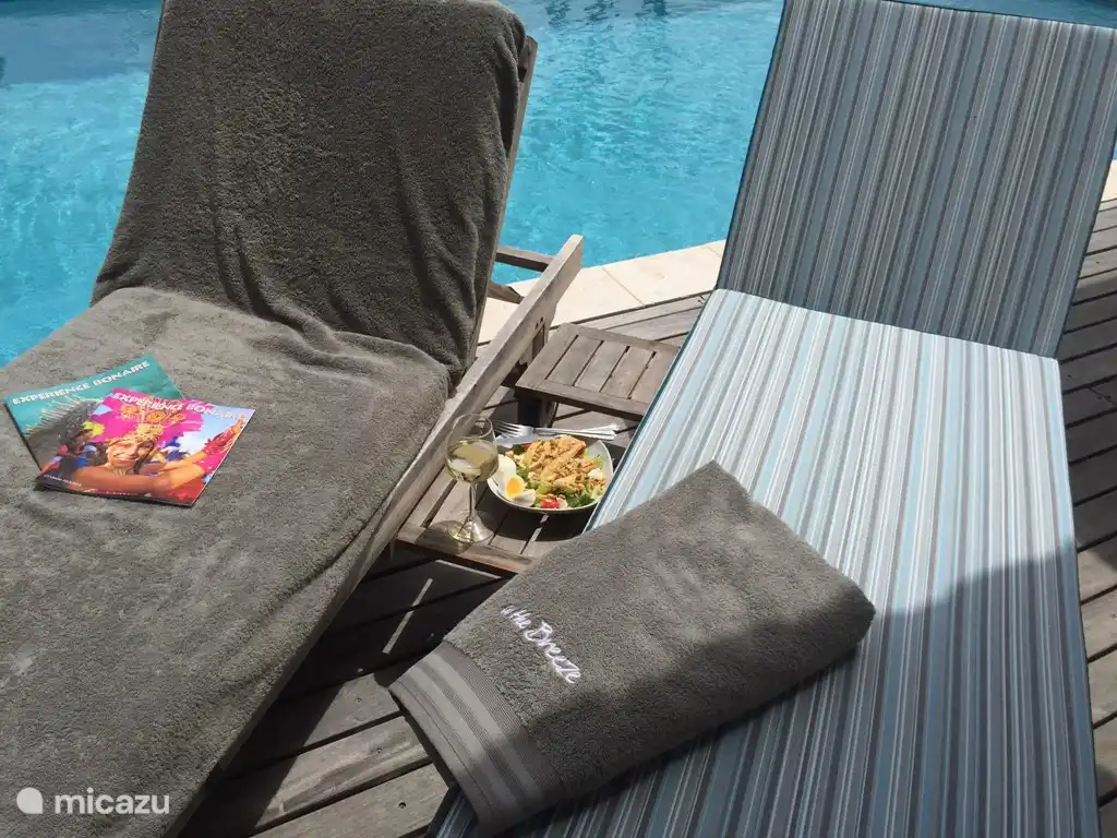 Lujosa ropa de baño para disfrutar al máximo