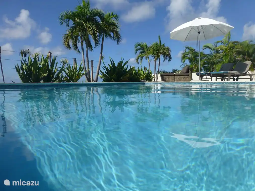 Date otro chapuzón en la piscina sin cloro de la casa de vacaciones Bonaire @the Breeze