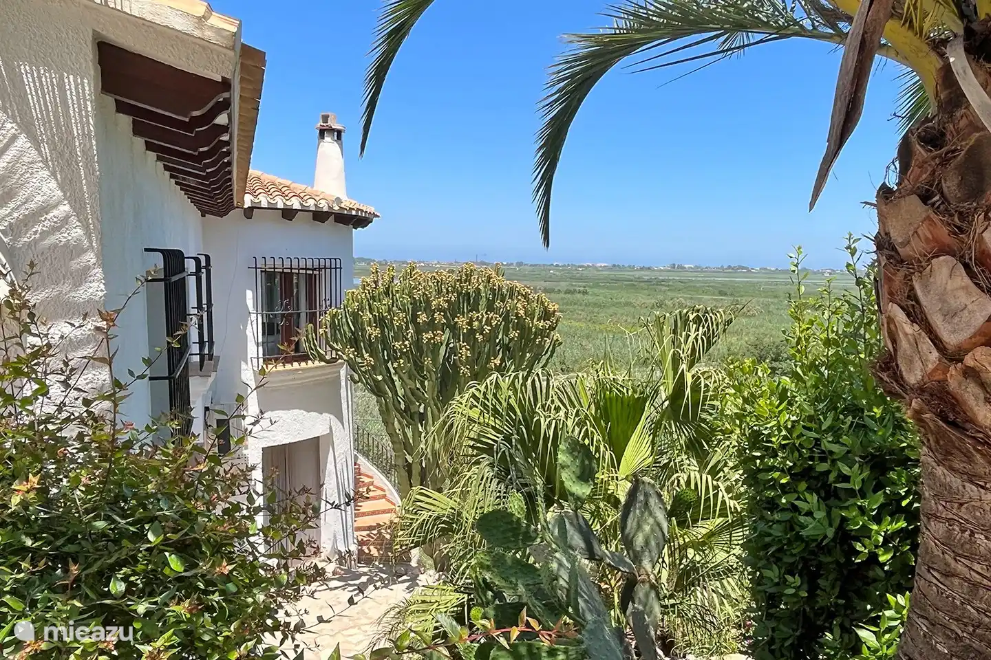 Blick von der Lounge-Ecke auf den mediterranen Garten.