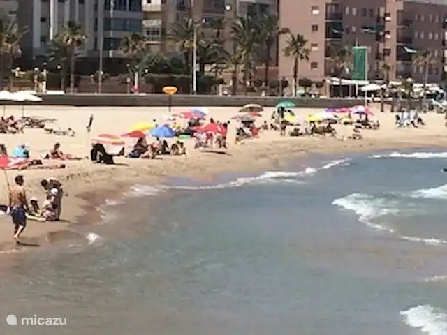 Luxueuse plage App.Jardin del Mar, baignade | Espagne, Costa Blanca, El Campello - appartement En 10 minutes, vous êtes ici sur la belle plage de sable fin avec une plage en pente douce. Alors profitez. L'eau de mer est à 26 degrés plusieurs mois de l'année !