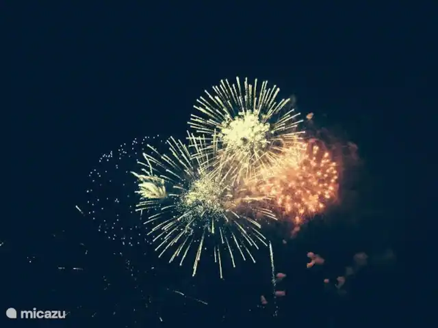 Luxueuse plage App.Jardin del Mar, baignade | Espagne, Costa Blanca, El Campello - appartement De nombreuses fêtes sont célébrées en Espagne et certainement aussi à El Campello. Donc, si vous avez de la chance, vous pourrez profiter de feux d'artifice spectaculaires sur la plage. Ceci est une photo de la célébration annuelle de Virgin del Carmen le 16 juillet 2014 à El Campello.
