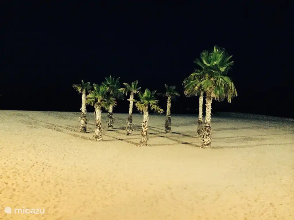 Eine landschaftlich reizvolle Aussicht, wenn Sie gerade schönen Spaziergang am Abend entlang des Boulevards.