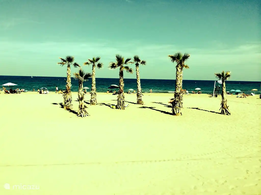 Sie müssen nicht in die Karibik für diese Art von Bildern zu gehen. Nur bei uns buchen, und es ist zu Fuß erreichbar.