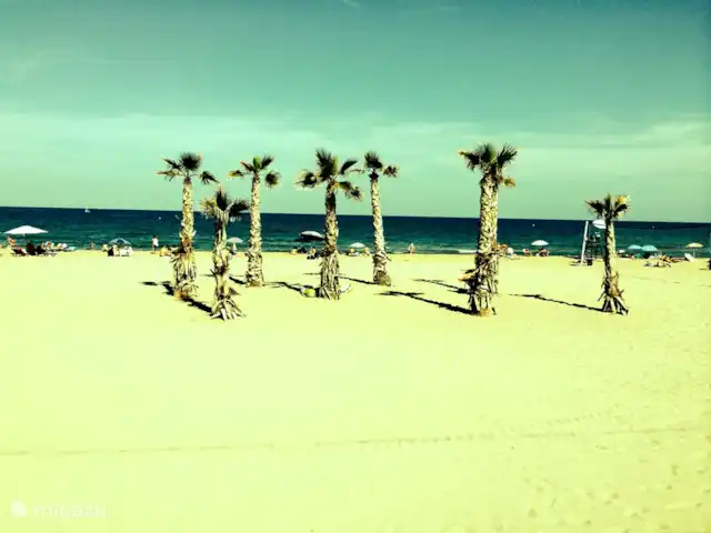Luxueuse plage App.Jardin del Mar, baignade | Espagne, Costa Blanca, El Campello - appartement Vous n'avez vraiment pas besoin d'aller dans les Caraïbes pour ce genre de photos. Il suffit de réserver avec nous et c'est à distance de marche.