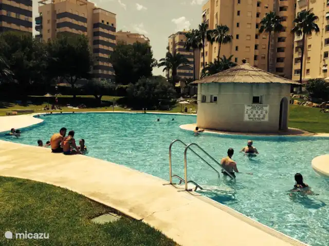 Luxueuse plage App.Jardin del Mar, baignade | Espagne, Costa Blanca, El Campello - appartement Cette photo montre clairement qu'un escalier spécial en pente douce a été conçu pour entrer dans l'eau de la très grande piscine.