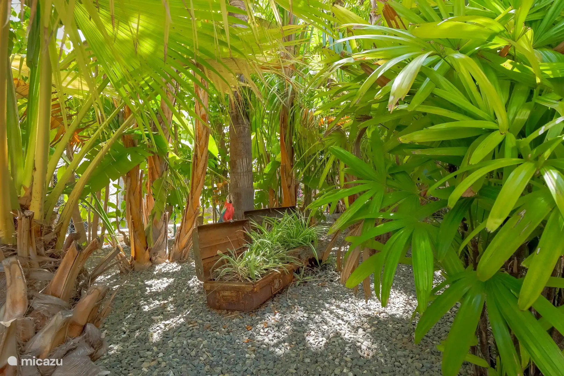 Exterior por pérgola 