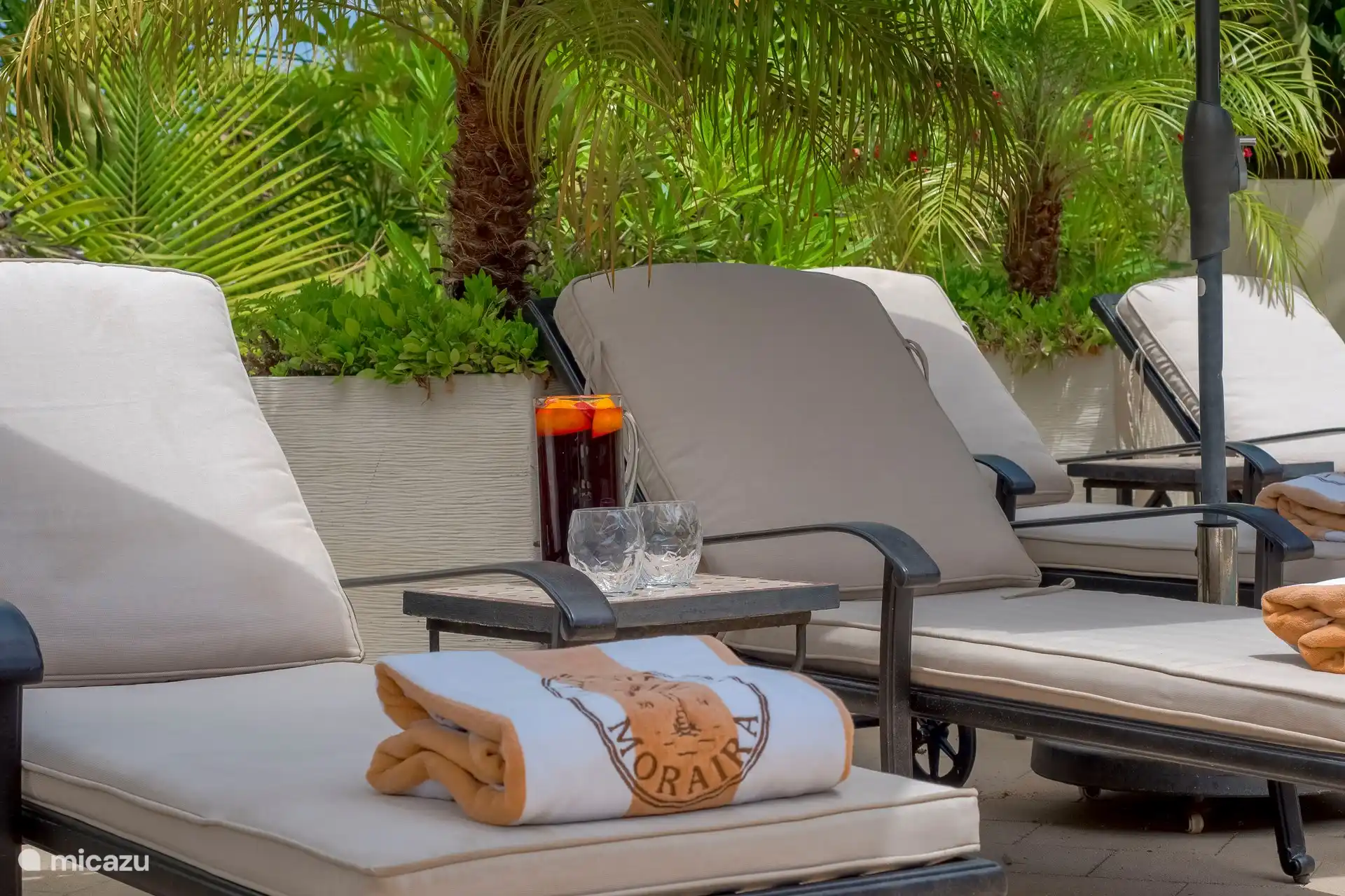 Tumbonas para piscina 