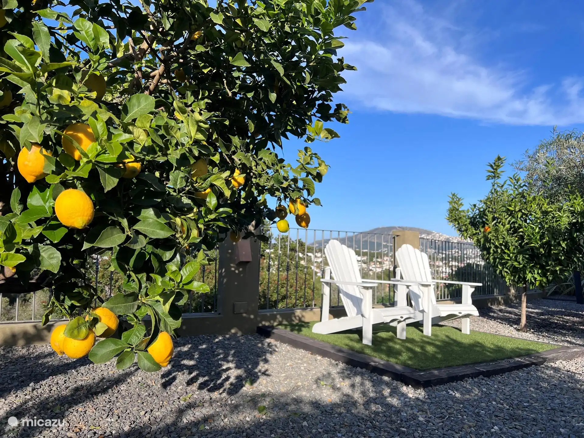 Jardín de la zona de frutas 