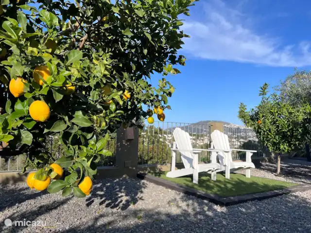 Villa Sieste | Espagne, Costa Blanca, Moraira - villa Jardin fruitier