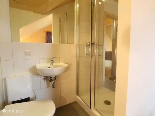 Chalet de bien-être Kreischberg | Autriche, Styrie, Sankt Lorenzen ob Murau - chalet Salle de bain en suite avec douche spacieuse.