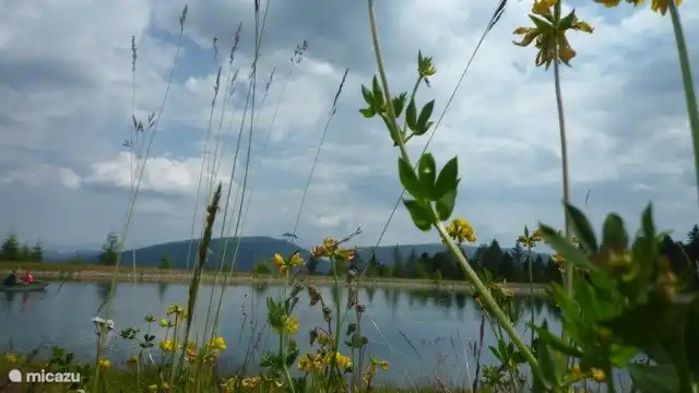 Schöne Wanderweg auf dem Kreischberg.
