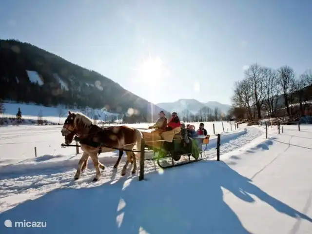 Chalet de bien-être Kreischberg | Autriche, Styrie, Sankt Lorenzen ob Murau - chalet Beaucoup d'activités (d'hiver) dans la région.