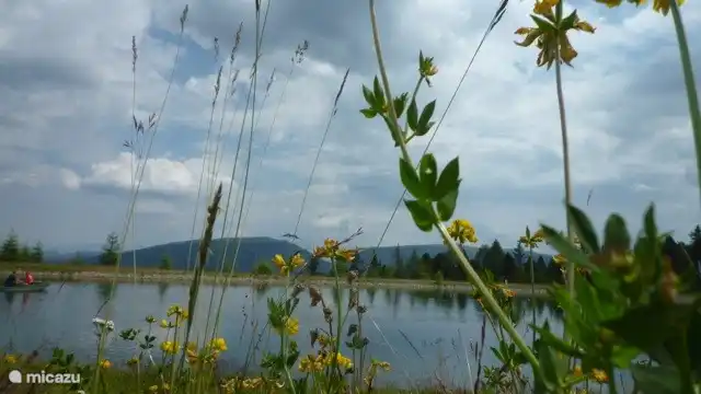 Boven op de Kreischberg.