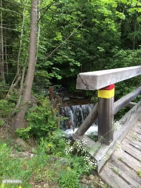 In het gebied kan je mooie wandel tochten maken