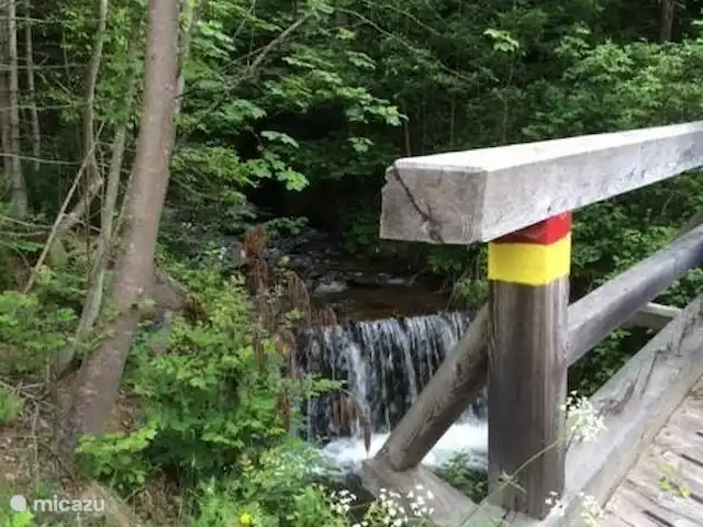 Chalet de bien-être Kreischberg | Autriche, Styrie, Sankt Lorenzen ob Murau - chalet Dans la région, vous pouvez faire de belles randonnées