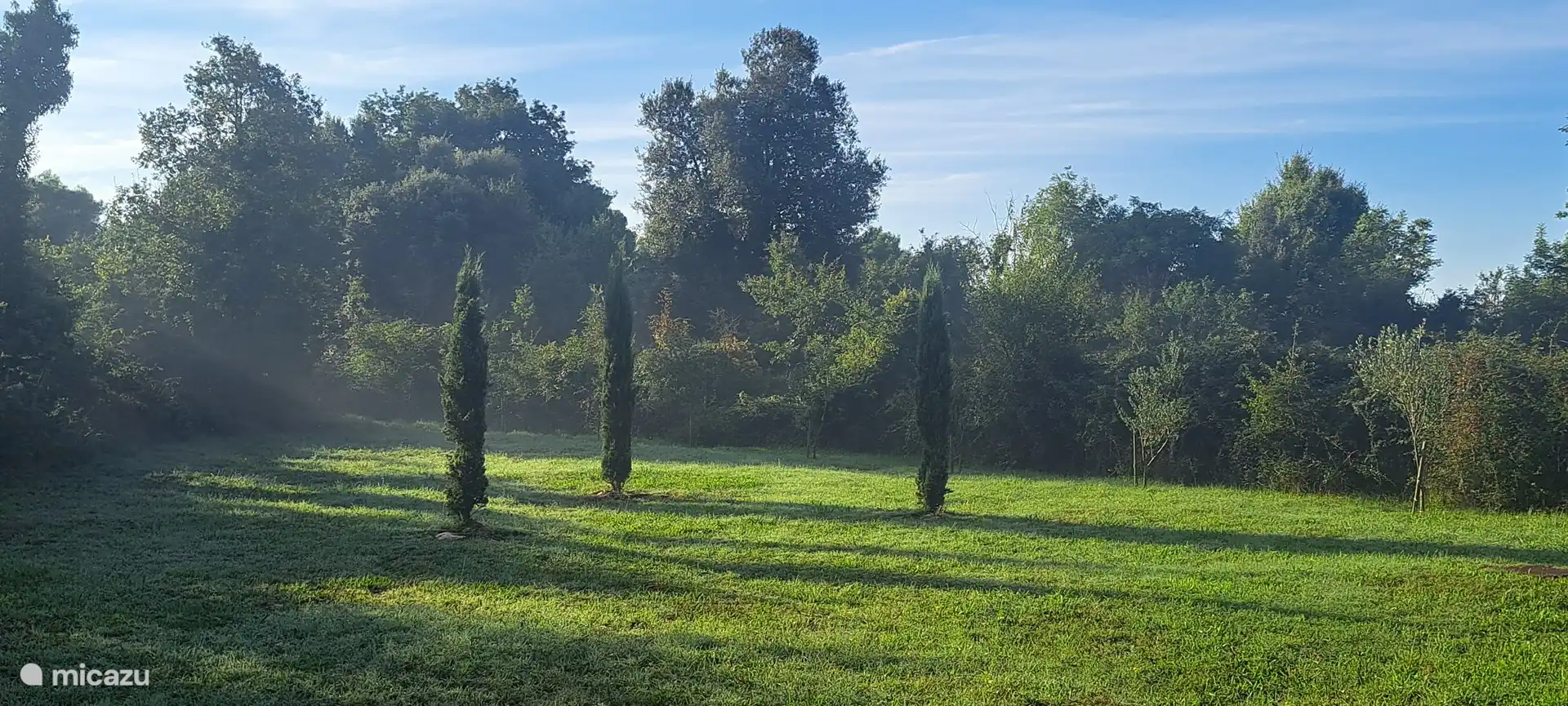 Los cipreses se pueden ver desde la casa