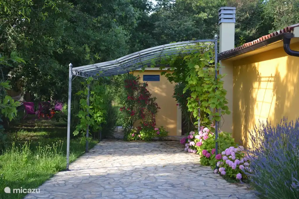 el camino de entrada y la pérgola cubiertos de arbustos de uva y kiwi