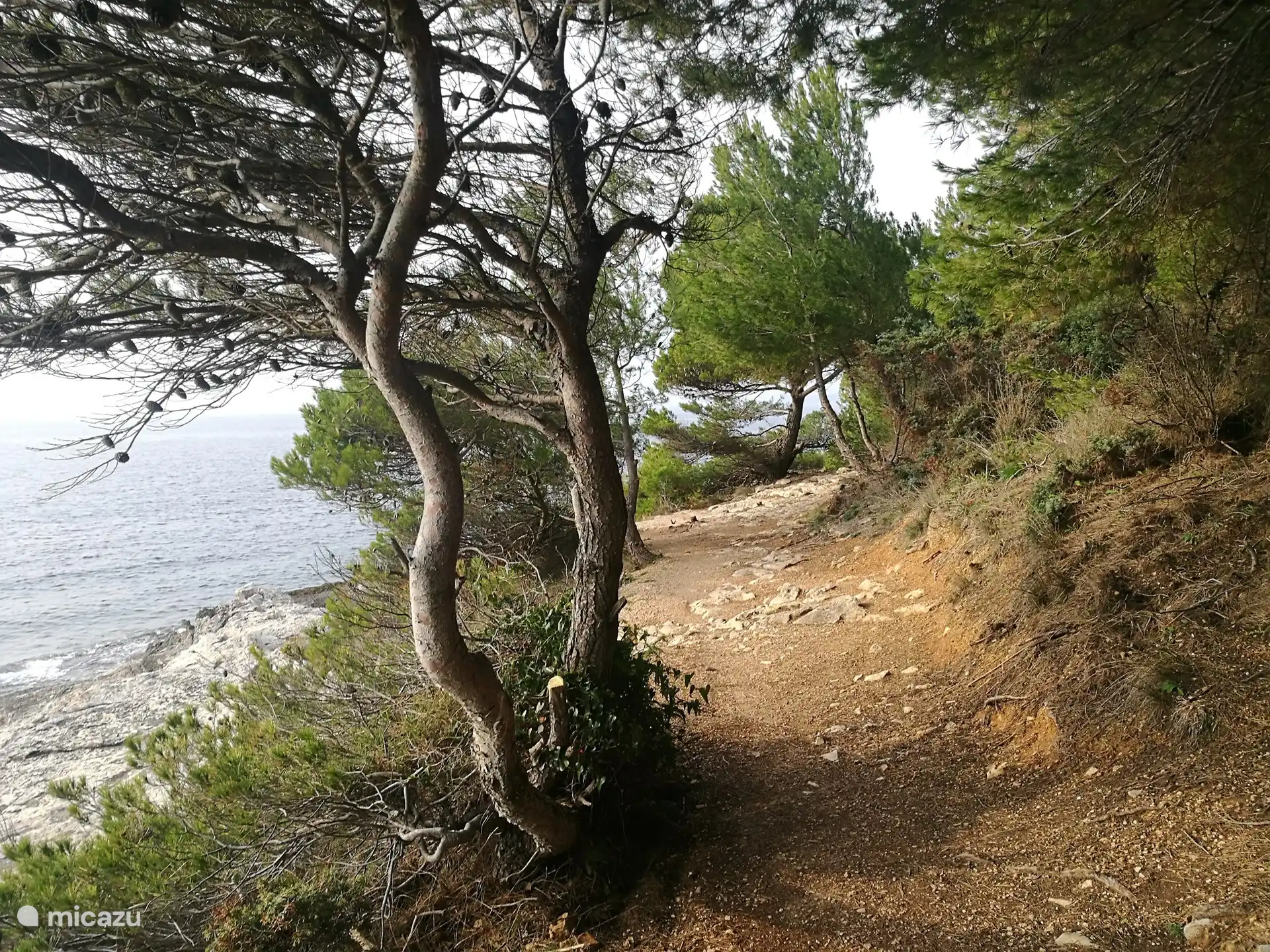 Hermosas rutas de senderismo a lo largo de la costa